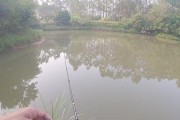 畅游大海，尽享路亚钓鱼的快乐（开船出海，路亚第一视角揭秘深海捕鱼奇遇）