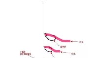 零基础路亚钓鱼指南（从小白到高手的实用技巧与经验分享）