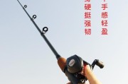 路亚竿与手竿（路亚竿和手竿的优缺点对比，选择适合自己的钓鱼工具）