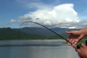 选择最佳路亚钓鱼装备的关键（探寻适合不同情况的路亚钓法）