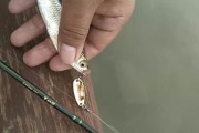 选择适合新手钓鱼的调路亚竿（解析调路亚竿选购指南，助你迅速融入钓鱼乐趣）