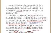 淡定哥（揭秘淡定哥的世界杯经历与成就）