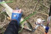 以麻阳辰水能用路亚钓鱼吗？（探索麻阳辰水的路亚钓鱼潜力）
