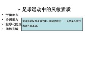 墨西哥足球技巧训练计划（掌握墨西哥足球技巧，成为场上的明星）