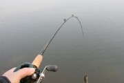 雨后水浑浊，路亚好钓鱼吗？（探讨雨后水浑浊对路亚钓鱼的影响及技巧）