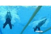 如何提高以蛙泳长距离游泳的技巧（优化姿势、加强腿部力量与呼吸技巧，让你轻松游遍汪洋大海）