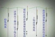 路亚钓鱼中铅坠和饵距离的重要性（探索钓鱼技巧和调整策略的关键因素）