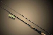 海边钓鱼新宠（玩转路亚竿，海滩钓鱼不再无聊）