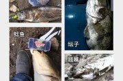 野钓路亚钓鱼饵搭配技巧（如何选择合适的路亚钓鱼饵，让你的钓鱼更加成功）