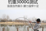 以路亚鱼竿在不同环境下钓鱼的技巧（探索路亚鱼竿在各类水域中的应用及成功钓鱼的关键）