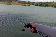 炎热夏日如何利用路亚钓鱼？（挑战高温，享受钓鱼乐趣）