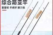 孩子使用路亚竿钓鱼，是不是一个好的选择？（探讨孩子使用路亚竿钓鱼的利与弊，为孩子选择最佳钓鱼方式）