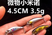 清水湾路亚钓鱼技巧大揭秘（掌握清水湾路亚钓鱼的关键，轻松享受丰富的渔获）