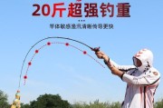 海河钓鱼竿（路亚钓法在海河的适用性及技巧）