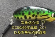 玩路亚，用什么饵好钓鱼？（选择合适的诱饵是钓鱼成功的关键）