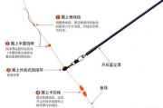 路亚钓鱼泥鳅打窝的重要性（发现泥鳅打窝的奥秘，提高钓鱼效果）