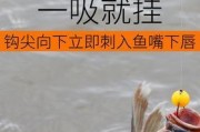 路亚钓鱼技巧揭秘（掌握正确的路亚钓鱼技巧，提高钓鱼效果）