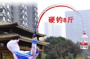 探秘钓鱼路亚竿的魅力（揭秘钓鱼路亚竿的外观、特点与使用技巧）