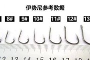 钓鱼技巧（如何根据不同情况选择合适的路亚钩子，提高钓鱼成功率）