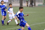踢足球的技巧与窍门（掌握踢足球的技巧，成为球场上的明星！）