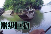 探秘路亚钓鱼的多重利器（解析路亚钓鱼装备的选择与运用技巧）