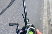 路亚纺车轮钓鱼实战大翘嘴——技巧与经验分享（以路亚纺车轮钓鱼为主要工具，教你如何成功捕捉大翘嘴）