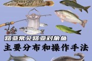 路亚钓鱼之最佳钓鱼目标鱼种（探索路亚钓鱼中最值得追求的鱼类，让你成为专业路亚钓手）