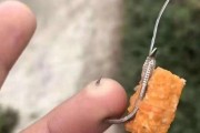 解决路亚钓鱼时鱼钩挂住水草的问题（水草丛生的钓点如何有效避免钓鱼时鱼钩挂住）