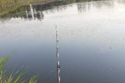 乡下河道钓鱼的乐趣与技巧（探索路亚技巧，体验自然乡村的魅力）