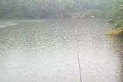 雨后的路亚钓鱼，能否丰收？（探讨大雨过后路亚钓鱼的可行性与技巧）