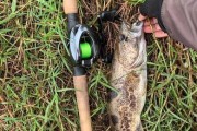 阴天路亚钓鱼，深浅择优（钓鱼选择深浅水域的技巧及注意事项）
