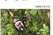 以捡的路亚竿钓鱼是否违法？（探讨路亚竿捡鱼的合法性及可能存在的问题）