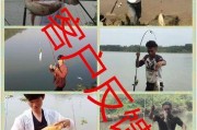 选择路亚还是海杆，钓鱼河湖两难题？（河湖钓鱼选路亚还是海杆？做出明智选择！）