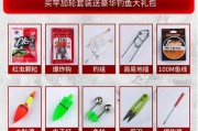 提升钓鱼技巧，掌握甩竿钓鱼方法与路亚技巧（深入探索甩竿钓鱼，成为路亚高手）