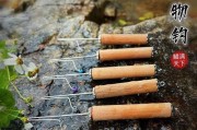 掌握路亚新手飞蝇钩钓鱼技巧的关键点（从基础到进阶，轻松掌握路亚新手飞蝇钩钓鱼技巧）