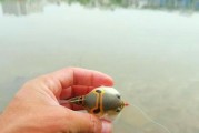 大河路亚钓鱼的鱼层寻找技巧（掌握这些技巧，轻松找到理想的钓点）