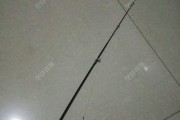 冰上路亚钓鱼技巧大揭秘（冰上路亚竿钓鱼的必备技巧及注意事项）