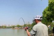 海边钓鱼技巧（以海边钓鱼为主题，介绍如何快速抛路亚竿的技巧）