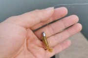 路亚钓鱼中是否需要加漂？（漂的作用及适用场景分析）