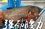探讨以河道钓鱼用路亚还是手杆的优劣（在不同情况下选择最合适的钓鱼工具）