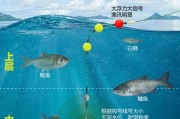 路亚钓鱼装浮漂技巧大揭秘（以浮漂装置为关键，轻松提高路亚钓鱼的效果）