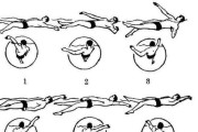 掌握游泳技巧的关键姿势（以不同姿势提升游泳技术水平）