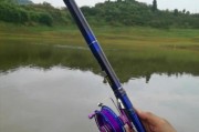 路亚加前导线，提高钓鱼成功率的秘密武器（探索路亚加前导线的神奇魅力，成为高效钓鱼者）