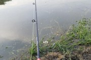 探秘路亚竿炸线技巧（钓鱼新手必备，炸线技巧全解析）