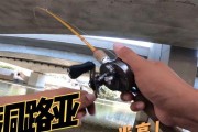 路亚竿为何适合钓鱼而不用线？（探索路亚竿在钓鱼中的优势和应用领域）