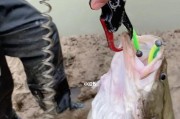 路亚钓鱼切线的原因与技巧（为什么选择路亚钓鱼切线及如何运用）