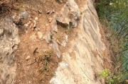女生也能玩路亚钓鱼（打破性别限制，女性也能在水中畅快垂钓）