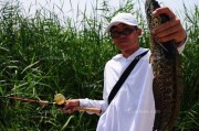 为什么叫路亚钓鱼要放生？（保护水生生物资源，共建生态美好家园）