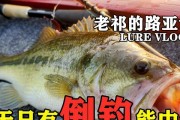 路亚钓鱼技巧（以路亚钓鱼为主的技巧和方法，让你轻松把鱼带回家！）