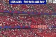 《球场上的狂欢——世界杯进球观众席视角》（感受欢呼声与激情，见证历史瞬间）